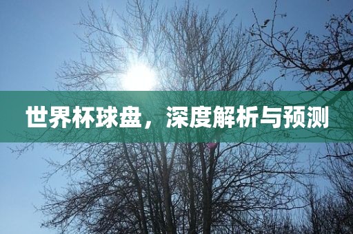 世界杯球盘，深度解析与预测