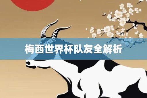 梅西世界杯队友全解析眉山市正发家政服务有限公司