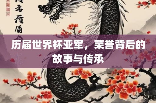 眉山市正发家政服务有限公司历届世界杯亚军，荣誉背后的故事与传承