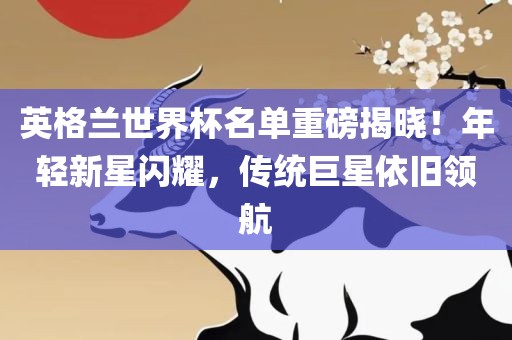 英格兰世界杯名单重磅揭晓！年轻新星闪耀，传统巨星依旧领航眉山市正发家政服务有限公司