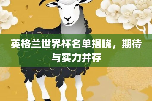 英格兰世界杯名单揭晓，期待与实力并存眉山市正发家政服务有限公司