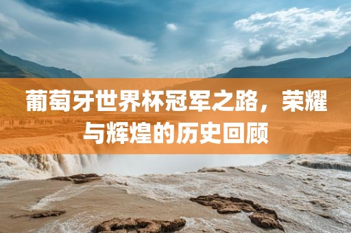 葡萄牙世界杯冠军之路，荣耀与辉煌的历史眉山市正发家政服务有限公司回顾