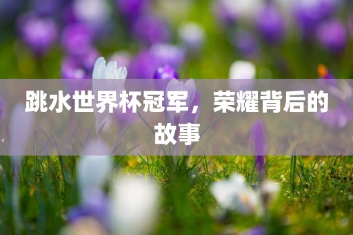 跳水世界杯冠军，荣耀背后的故事眉山市正发家政服务有限公司