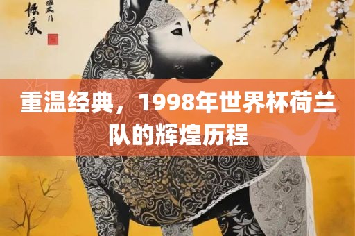 重温经典，1998年世界杯荷兰队的辉煌历程