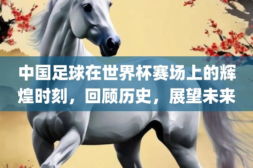 中国足球在世界杯赛场上的辉煌时刻，回顾历史，展望未来