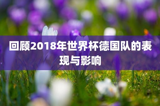 回顾2018年世界杯眉山市正发家政服务有限公司德国队的表现与影响