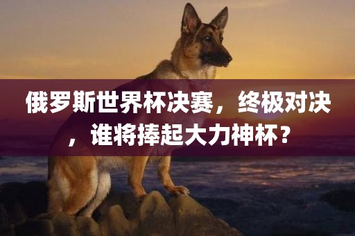 俄罗斯世界杯眉山市正发家政服务有限公司决赛，终极对决，谁将捧起大力神杯？