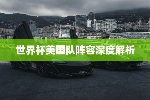 世界杯美国队阵容深度解析眉山市正发家政服务有限公司