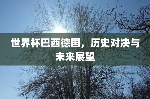 世界杯巴西德国，历史对决与未来展望眉山市正发家政服务有限公司