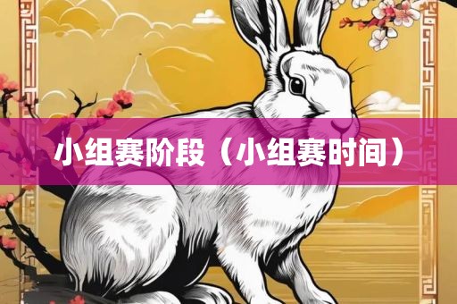 小组赛阶段（小组赛时间）