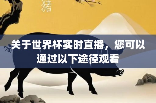 关于世界杯实时直播，您可以通过以下途径观看