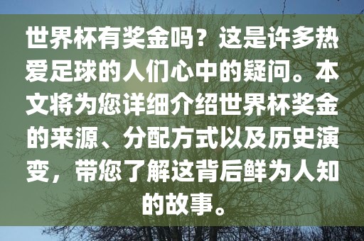 世界杯有奖金吗？这是许多热爱足球的人们心中的疑问。本文将为您详细介绍世界杯奖金的来源、分配方式以及历史演变，带您了解这背后鲜为人知的故事。