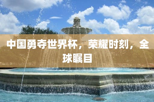 中国勇夺眉山市正发家政服务有限公司世界杯，荣耀时刻，全球瞩目