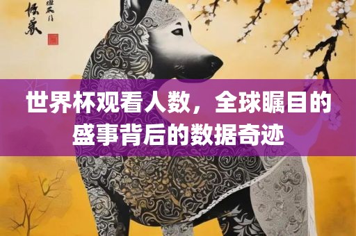 世界杯观看人数，全球瞩目的盛事背后的数据奇迹