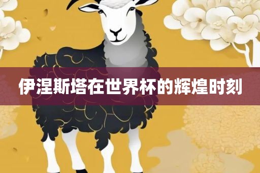 伊涅斯塔在世界杯的辉煌时刻眉山市正发家政服务有限公司