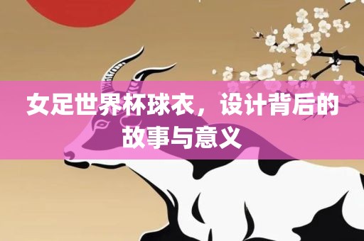 女足世界杯球衣，设计背后的故事与意义眉山市正发家政服务有限公司