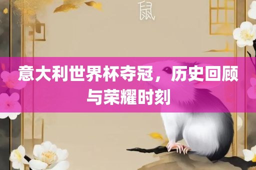 意大利世界杯夺冠，历史回顾与荣耀时刻眉山市正发家政服务有限公司