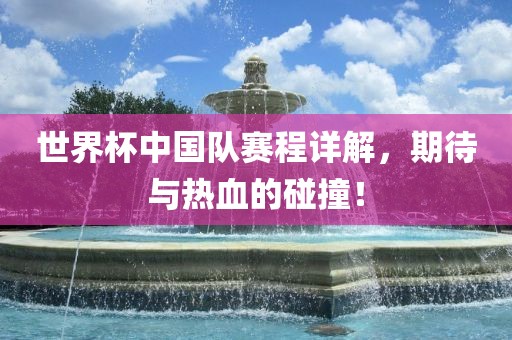 世界杯中国队赛程详解，期待与热血的碰撞！