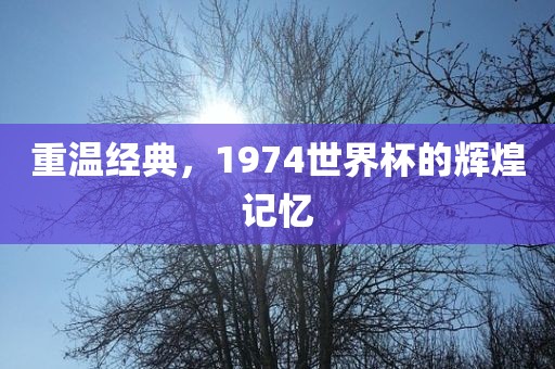 重温经典，1974世界杯的辉煌记忆