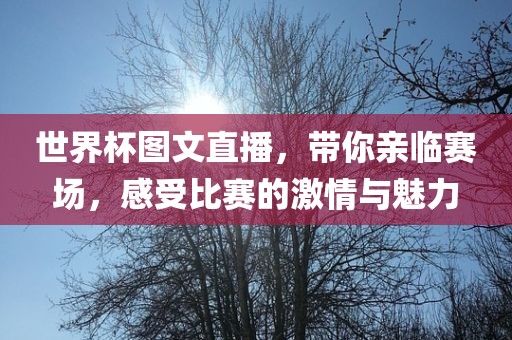 世界杯图文直播，带你亲临赛场，感受比赛的激情与魅力