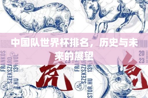 中国队世界杯排名，历史与未来的展望眉山市正发家政服务有限公司