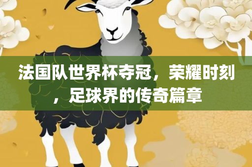 法国队世界杯夺冠，荣耀时刻，足球界的传奇篇章眉山市正发家政服务有限公司