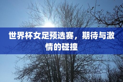 世界杯女足预选赛，期待与激情的碰撞眉山市正发家政服务有限公司