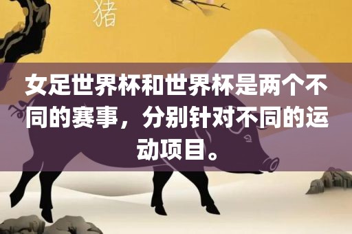 女足世界杯和世界杯是两个不同的赛事，分别针对不同的运动眉山市正发家政服务有限公司项目。