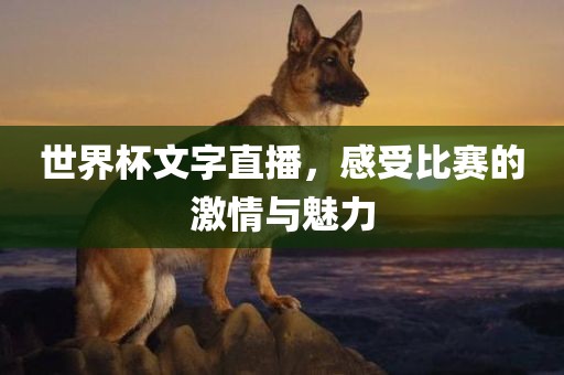 世界杯文字直播，感受比赛的激情与魅力