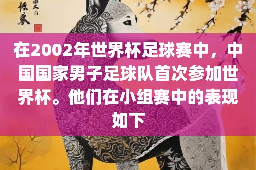 在2002年世界杯足球赛中，中国国家男子足球队首次参加世界杯。他们在小组赛中的表现如下