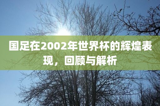 国足在2002年世界杯的辉煌表现，回顾与解析