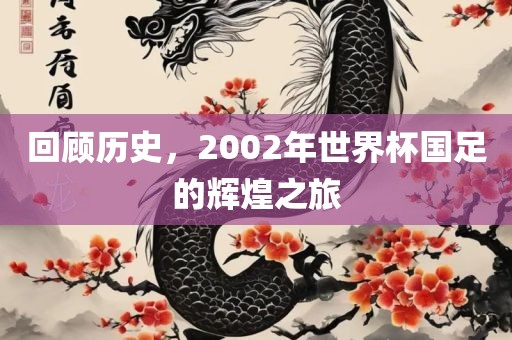 回顾历史，2002年世界杯国眉山市正发家政服务有限公司足的辉煌之旅
