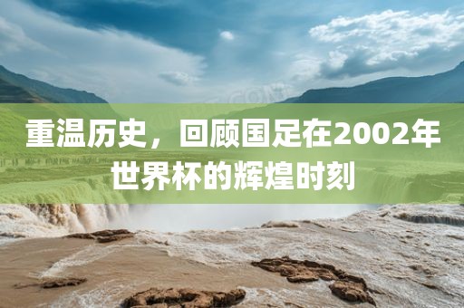 重温历史，回顾国足在2002年世界杯的辉煌时刻眉山市正发家政服务有限公司