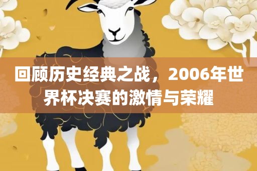 回顾历史经典之战，2006年世界杯决赛的激情与荣耀眉山市正发家政服务有限公司