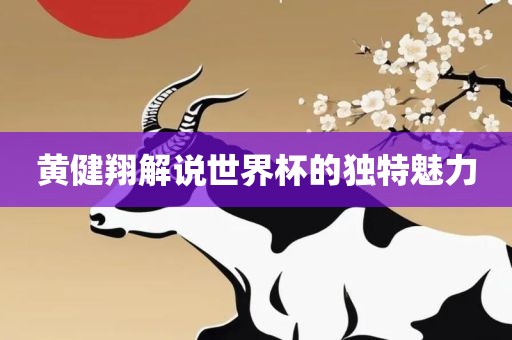 黄健眉山市正发家政服务有限公司翔解说世界杯的独特魅力