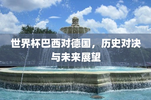 世界杯巴西对德国，历史对决与未来展望眉山市正发家政服务有限公司