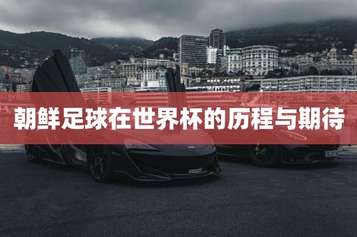 朝鲜足球在世界杯的历程与期待眉山市正发家政服务有限公司