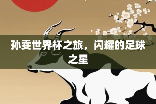 孙雯世界杯之旅，闪耀的足球之星眉山市正发家政服务有限公司