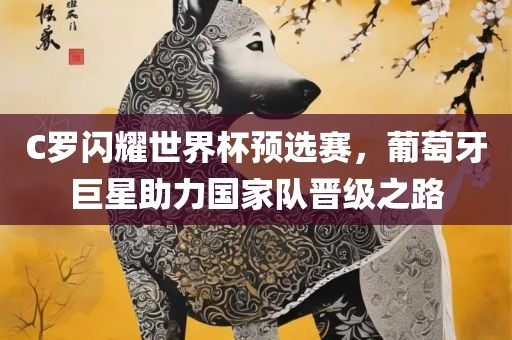 C罗闪耀世界杯预选赛，葡萄牙巨星助力国家队晋级之路眉山市正发家政服务有限公司