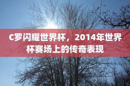 C罗闪耀世界杯，2014年世界杯赛场上的传奇表现眉山市正发家政服务有限公司