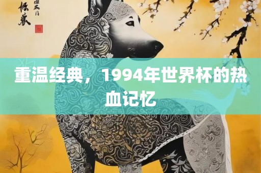 重温经典，1994年世界杯的热血记忆
