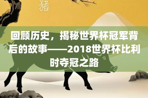回顾历史，揭秘世界杯冠军背后眉山市正发家政服务有限公司的故事——2018世界杯比利时夺冠之路