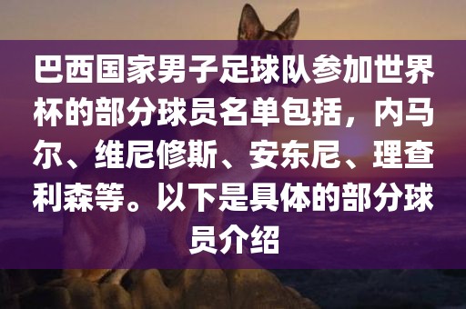 巴西国家男子足球队参加世界杯的部分球员名单包括，内马尔、维尼修斯、安东尼、理查利森等。以下是具体的部分球员介绍