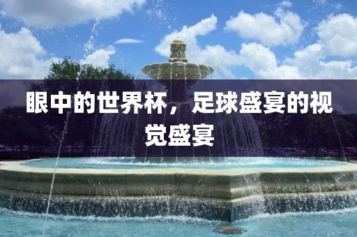 眼中的世界杯，足球盛宴的视觉盛宴眉山市正发家政服务有限公司