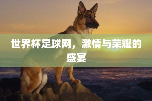 世界杯足球网，激情与荣耀的盛宴眉山市正发家政服务有限公司