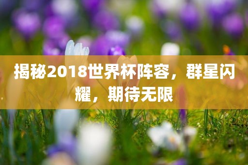 揭秘2018世界杯阵容，群星闪耀，期待无限眉山市正发家政服务有限公司