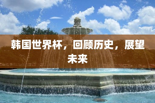 韩国世界杯，回顾历史，展望未来