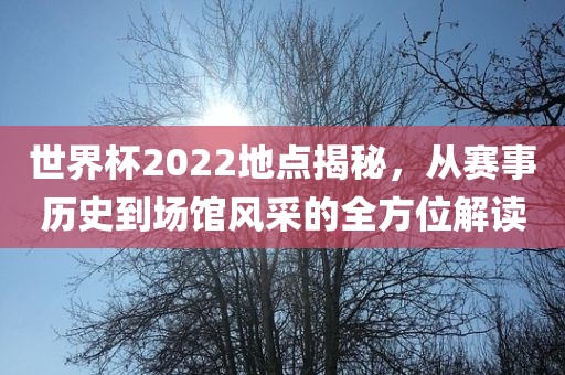 世界杯2022地点揭秘，从赛事历史到场馆风采的全方位解读眉山市正发家政服务有限公司