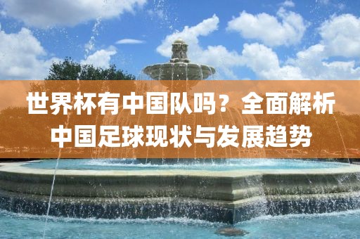世界杯有中国队吗？全面解析中国足球现状与发展趋势眉山市正发家政服务有限公司