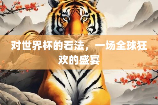 对世界杯的看法，一场全球狂欢的盛宴